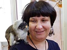 Звери Комсомольска-на-Амуре заработали себе на еду