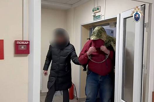 Подозреваемый в расправе над 9-летним мальчиком в Петербурге сделал заявление на допросе