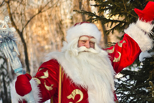 У Деда Мороза зажгли первую новогоднюю елку России