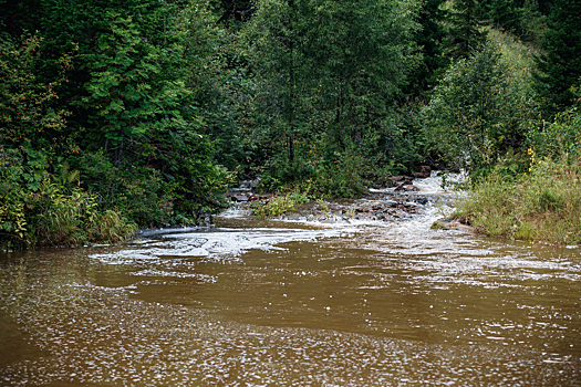 Власти прокомментировали жалобу на грязные реки юга Кузбасса