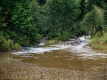 Власти прокомментировали жалобу на грязные реки юга Кузбасса