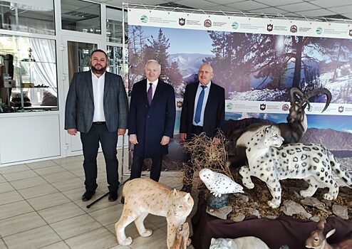 В Красноярском крае будет открыт Центр разведения снежного барса