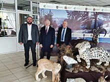 В Красноярском крае будет открыт Центр разведения снежного барса