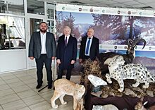 В Красноярском крае будет открыт Центр разведения снежного барса