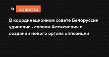 В Координационном совете Белоруссии удивились словам Алексиевич о создании нового органа оппозиции