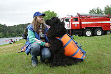 Беспилотники и собаки стали главными помощниками столичных спасателей летом