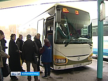 Проезд на пригородных автобусах в Калининградской области стал дороже. В чём причина роста цен?