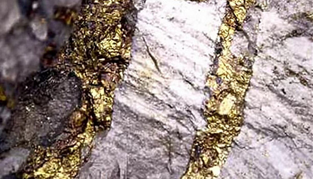 Геологи создадут карты, по которым будут искать золото в Карелии