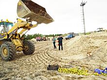 В Ноябрьске бульдозером раскатали 25 кг польских груш