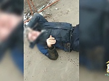 Злостного нарушителя поймали полицейские в Нижнем Новгороде