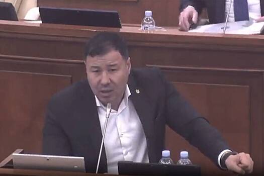 Молдавскому депутату не дали рассказать о незаконном финансировании партии Санду