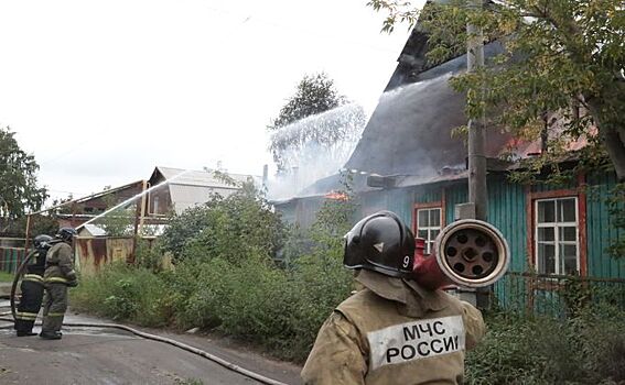 Дачи горят в год Красного Петуха под Новосибирском