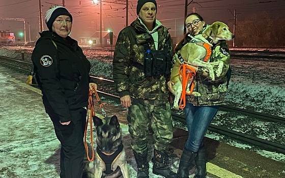 Пропавшую в Рыбном пенсионерку нашли по следам