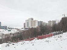 Нижегородцы выступили против строительства коттеджей рядом с Щелоковским хутором