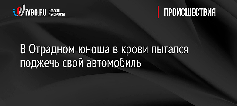 В Отрадном юноша в крови пытался поджечь свой автомобиль