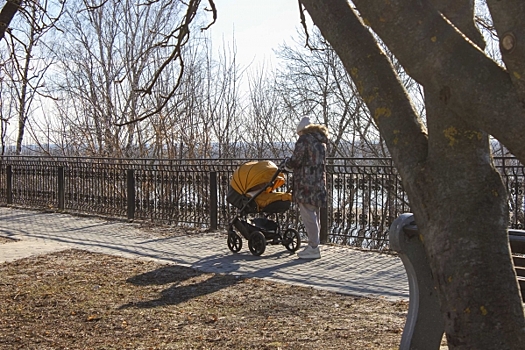Какие программы ранней помощи могут получить семьи с детьми в Красноярском крае