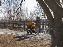 Какие программы ранней помощи могут получить семьи с детьми в Красноярском крае