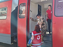 Калуга встретила беженцев из Курской области