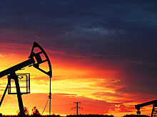 Россия в июле нарастила добычу нефти