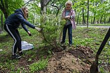 Благоустройство и красота