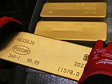 Международные резервы РФ достигли рекорда