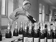 «Откупори шампанского бутылочку»: Главархив — о производстве шампанского