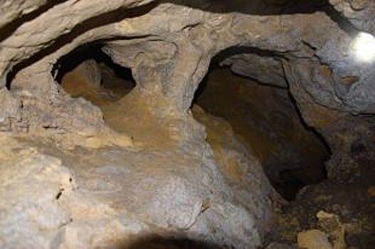 Челябинские археологи раскопали тайное «подземелье ведьм» под Агаповкой