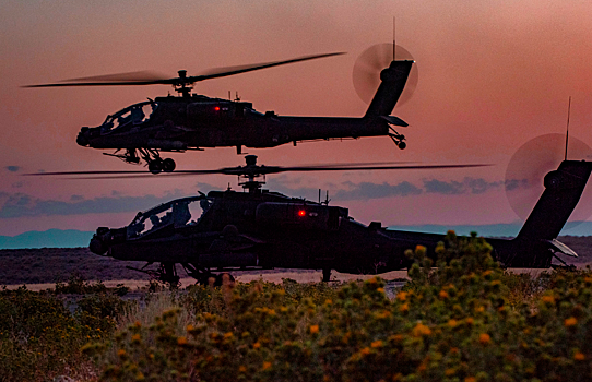 Британия высказалась о поставке Украине ударных вертолетов Apache