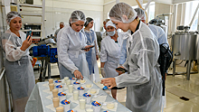Предприниматели из Кургана отведали ноябрьского молока. ФОТО