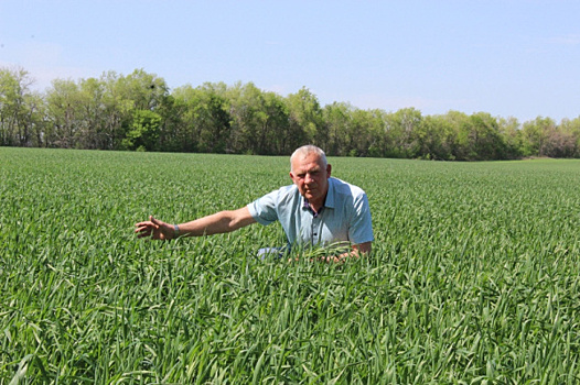 Технология урожая