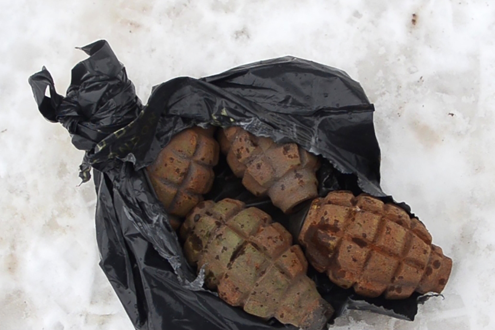 Пять гранат в черном пакете нашли на западе Москвы