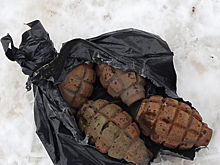 Пять гранат в черном пакете нашли на западе Москвы