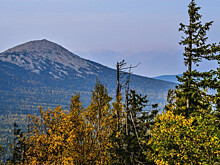 Кремль роет себе яму: взятки в экологии достигли миллионов евро