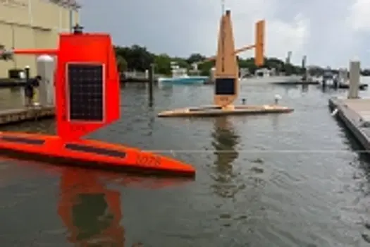 Ученые с помощью беспилотника «заглянули в душу» урагана «Фиона»: видео