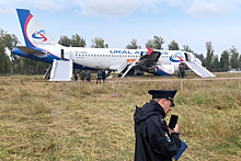 Поле вокруг аварийно севшего Airbus "Уральских авиалиний" вспашут в ближайшие дни