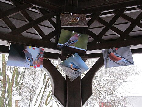 В Теплом Стане изготовили кормушки для птиц