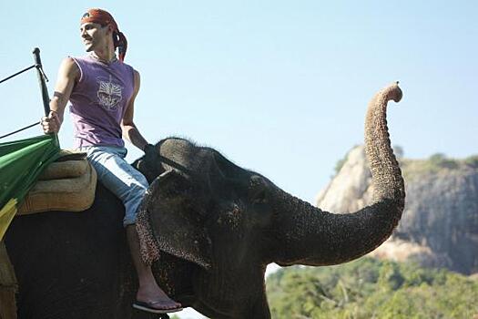 Туроператоры назвали стоимость новогоднего отдыха на Шри-Ланке