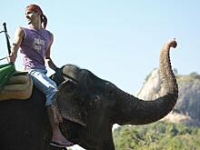 Туроператоры назвали стоимость новогоднего отдыха на Шри-Ланке