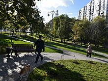 Молодые парламентарии помогут с благоустройством Красносельского района