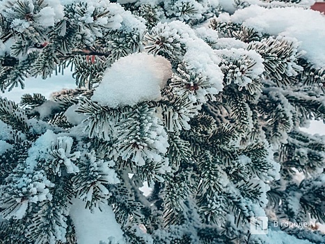 В Тюменской области объявили штормовое предупреждение из-за снега 20 декабря