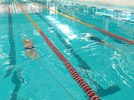 Мельниченко предложил создать учреждение, которое будет отвечать за работу бассейнов