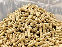 Соевые корма для животных начнут производить на Алтае