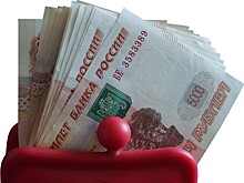 В Челябинской области выдача кредитов «до зарплаты» выросла на 24,3%