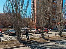 «Это проезд к жилым домам»: мэрия запретит парковку на дублере улицы Восточной