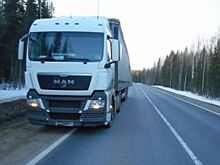 В Холмогорском районе водитель иномарки врезался в грузовик