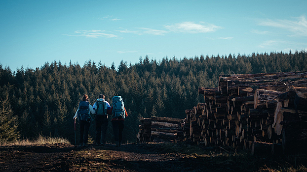 Россиянам посоветовали обратить свое внимание не только на Краснодарский край