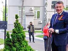 Врачи НМИЦ радиологии Минздрава России высадили Аллею Героев