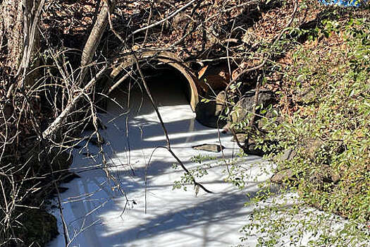 RU: микроорганизмы comammox помогают удалять из стоков азотные загрязнения