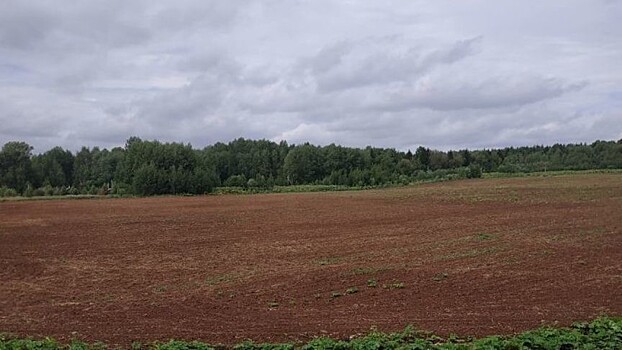В Кирове ввели в сельскохозяйственный оборот 11 га земель