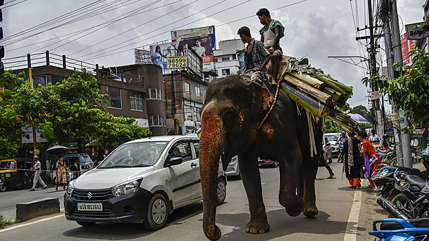 Альтернатива Китаю: 10 дешёвых авто из Индии, которые не затронет новый утильсбор